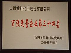 2003年山西省百強民營企業