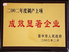 2002年晉中市成效顯著企業