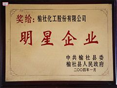 2004年榆社縣明星企業