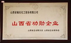 2009年山西省功勛企業